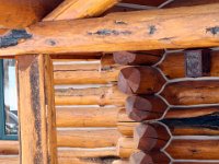 Ascroft Pine Creek Cookhouse (12)